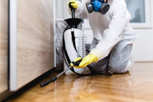 Best Bed Bug Extermination  in Hillcrest, NY