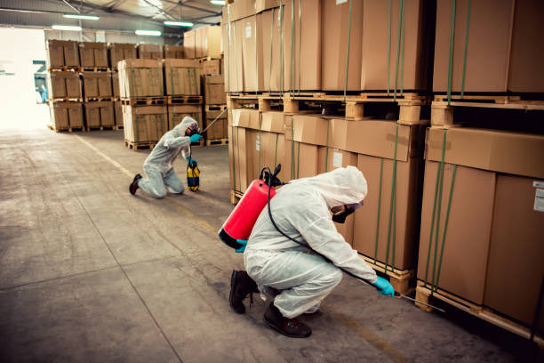 Best Pest Removal Services  in Hillcrest, NY