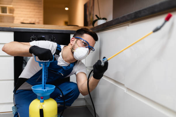 Best Bed Bug Extermination  in Hillcrest, NY