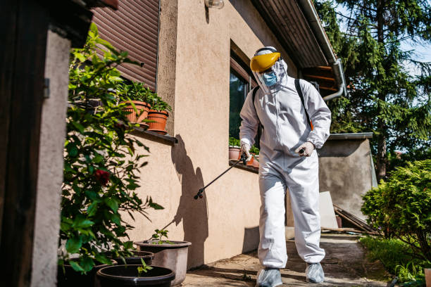 Best Rodent Control Near Me  in Hillcrest, NY
