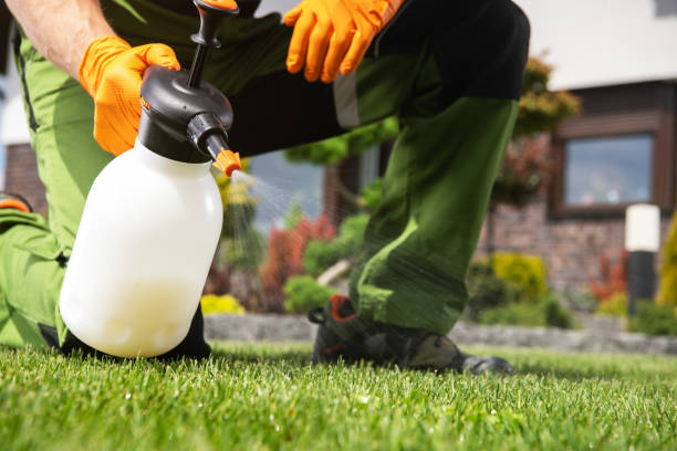 Best Emergency Pest Control  in Hillcrest, NY