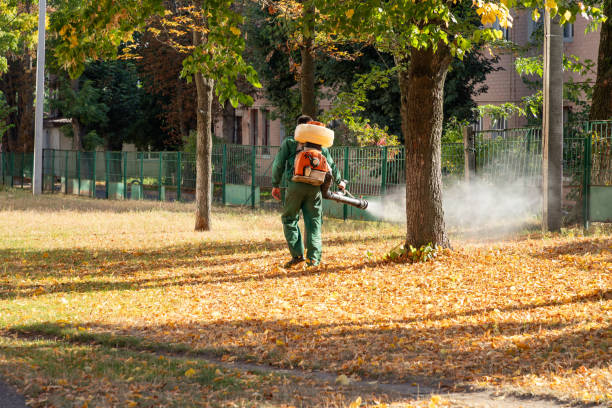 Best Exterminator Services  in Hillcrest, NY