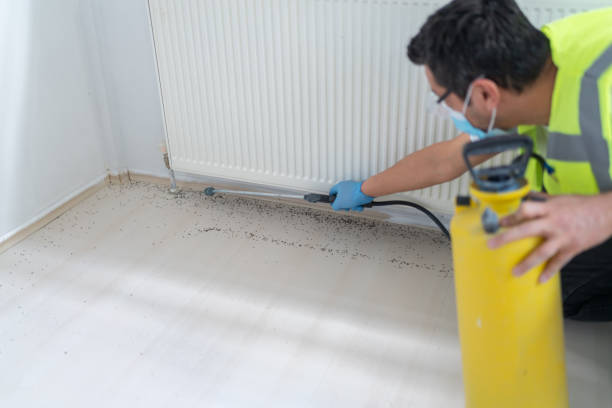 Best Best Pest Control Near Me  in Hillcrest, NY