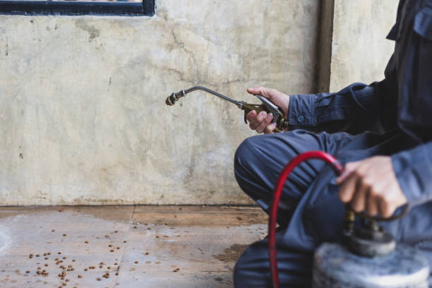 Best Pest Prevention Services  in Hillcrest, NY
